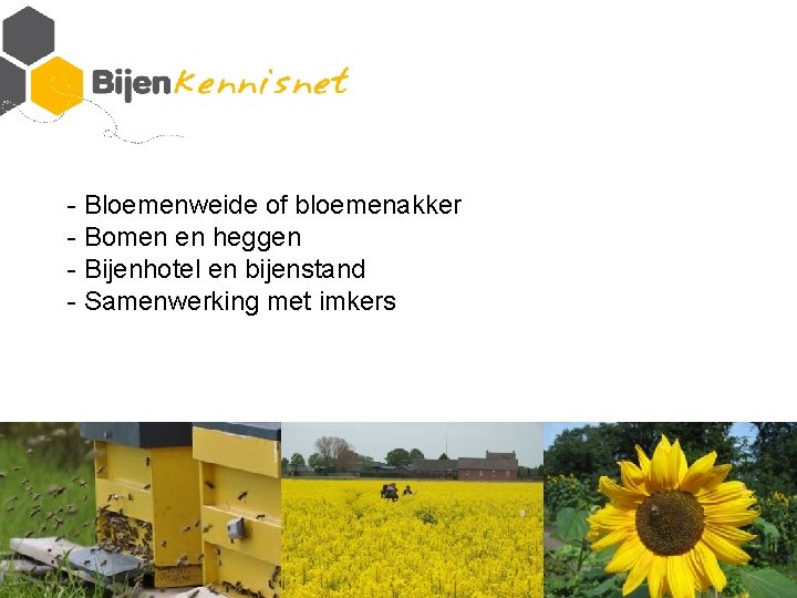 - Bloemenweide of bloemenakker - Bomen en heggen - Bijenhotel en bijenstand - Samenwerking