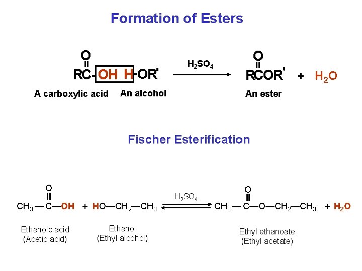 Formation of Esters A carboxylic acid H 2 SO 4 An alcohol O RCOR'