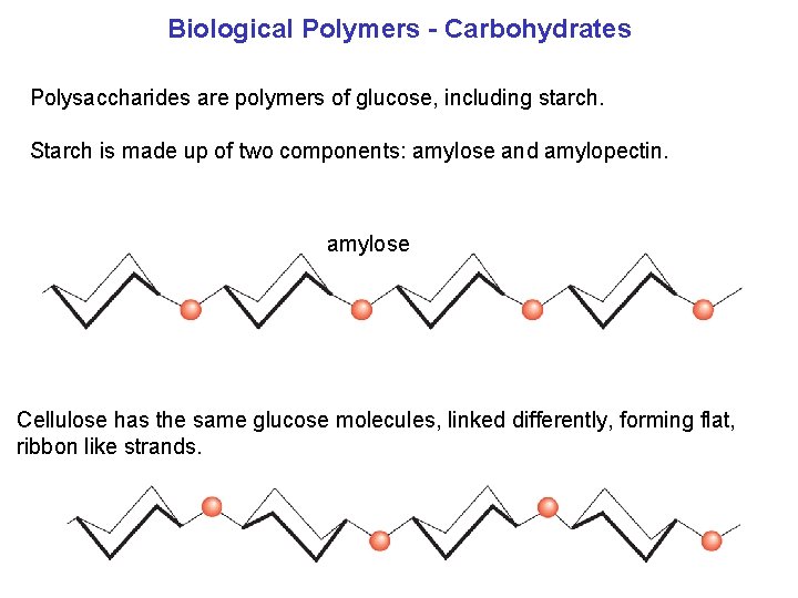 Biological Polymers Carbohydrates Polysaccharides are polymers of glucose, including starch. Starch is made up