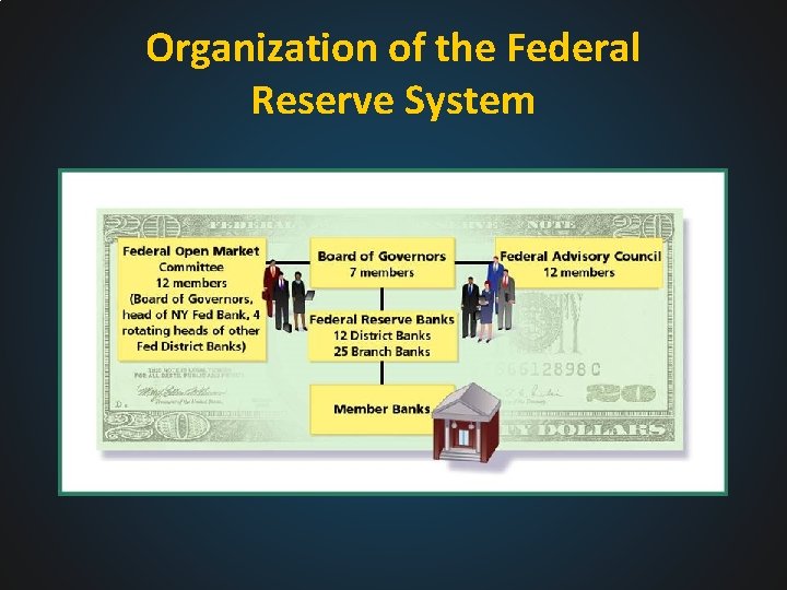 Organization of the Federal Reserve System 