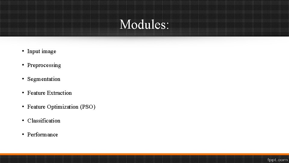 Modules: • Input image • Preprocessing • Segmentation • Feature Extraction • Feature Optimization