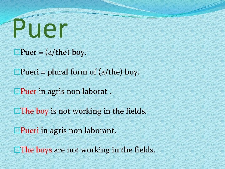 Puer �Puer = (a/the) boy. �Pueri = plural form of (a/the) boy. �Puer in