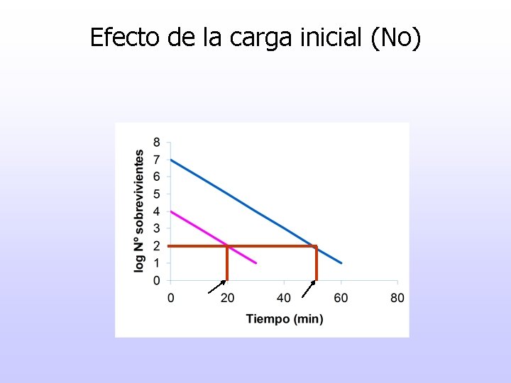 Efecto de la carga inicial (No) 