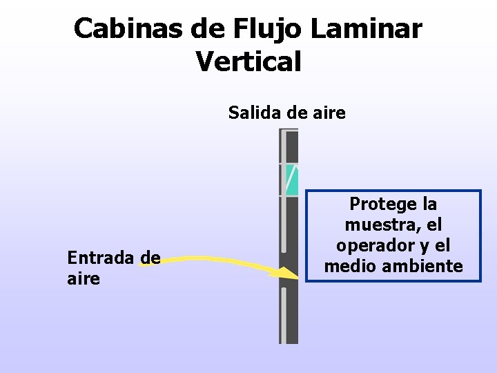 Cabinas de Flujo Laminar Vertical Salida de aire Entrada de aire Protege la muestra,