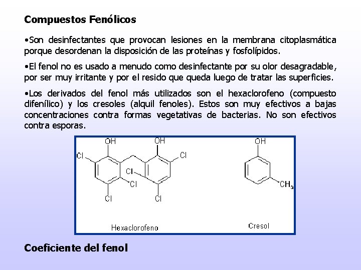 Compuestos Fenólicos • Son desinfectantes que provocan lesiones en la membrana citoplasmática porque desordenan