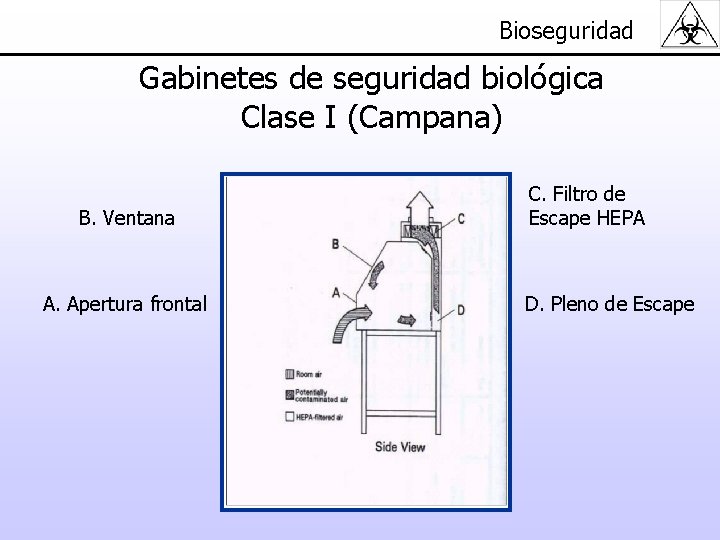 Bioseguridad Gabinetes de seguridad biológica Clase I (Campana) B. Ventana A. Apertura frontal C.