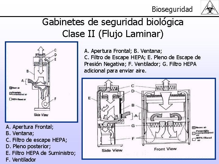 Bioseguridad Gabinetes de seguridad biológica Clase II (Flujo Laminar) A. Apertura Frontal; B. Ventana;