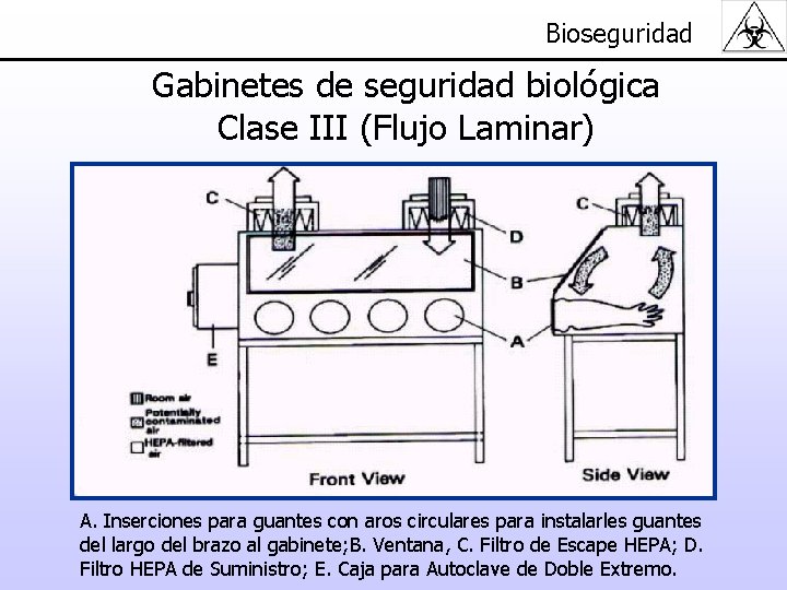 Bioseguridad Gabinetes de seguridad biológica Clase III (Flujo Laminar) A. Inserciones para guantes con