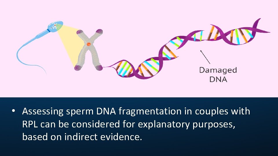  • Assessing sperm DNA fragmentation in couples with RPL can be considered for