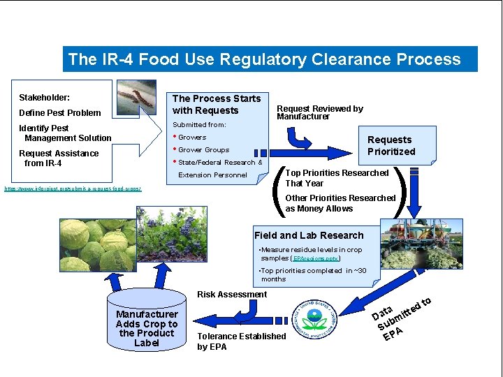 The IR-4 Food Use Regulatory Clearance Process Stakeholder: The Process Starts with Requests Define