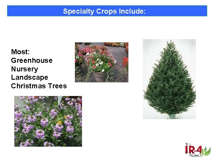 Specialty Crops Include: Most: Greenhouse Nursery Landscape Christmas Trees 