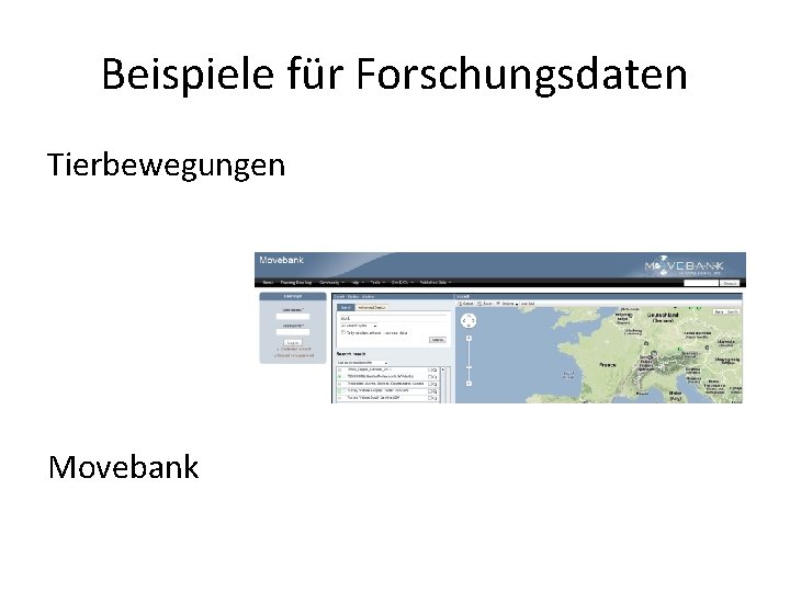 Beispiele für Forschungsdaten Tierbewegungen Movebank 