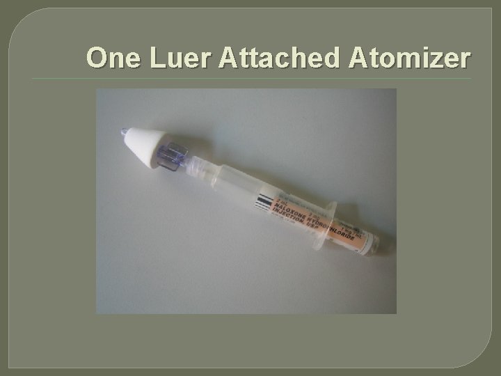 One Luer Attached Atomizer 