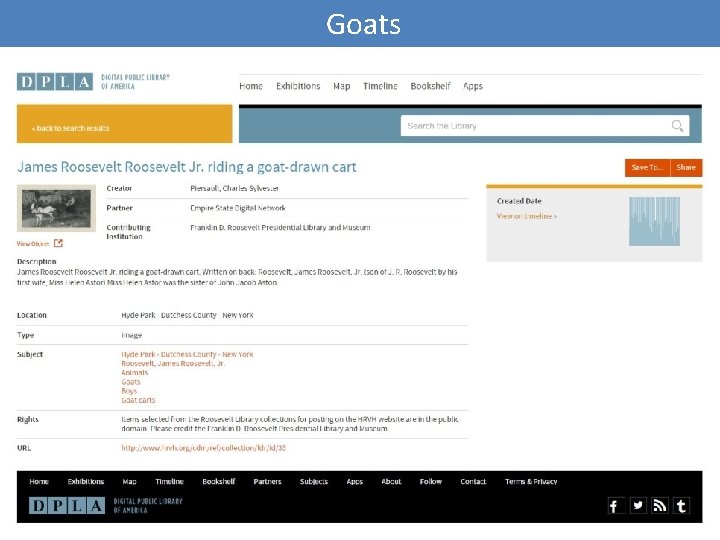 Goats 