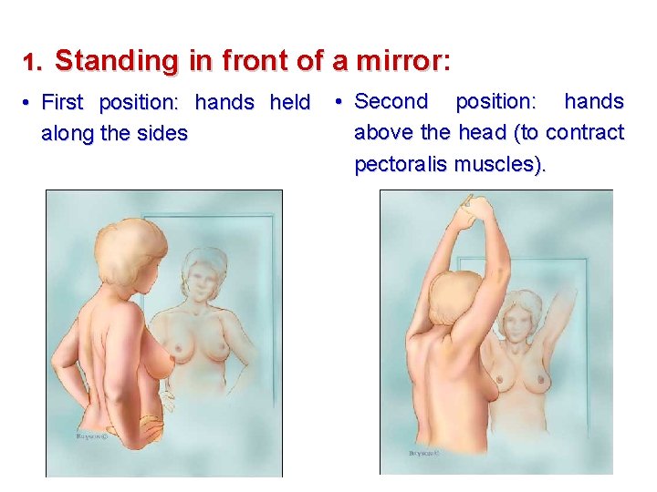 1. Standing in front of a mirror: mirror • First position: hands held along