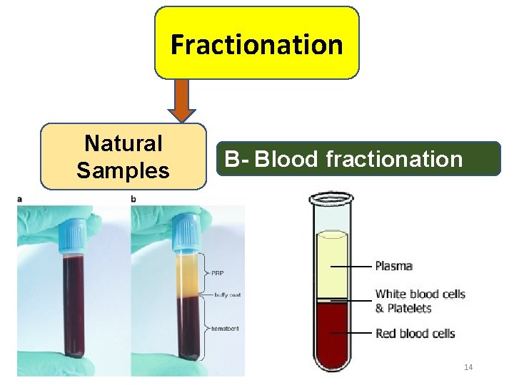 Fractionation Natural Samples B- Blood fractionation 14 