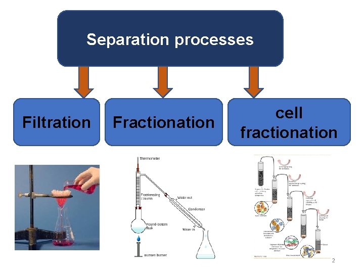 Separation processes Filtration Fractionation cell fractionation 2 