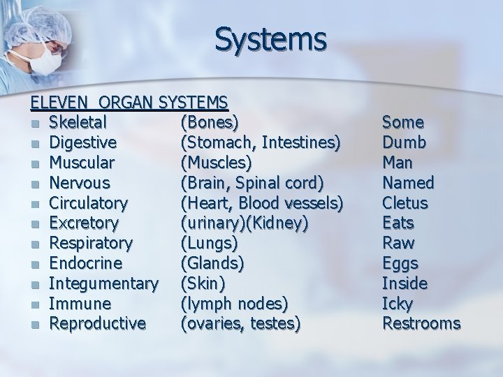 Systems ELEVEN ORGAN SYSTEMS n Skeletal (Bones) n Digestive (Stomach, Intestines) n Muscular (Muscles)