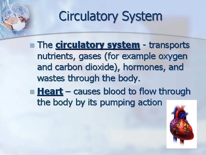 Circulatory System The circulatory system - transports nutrients, gases (for example oxygen and carbon