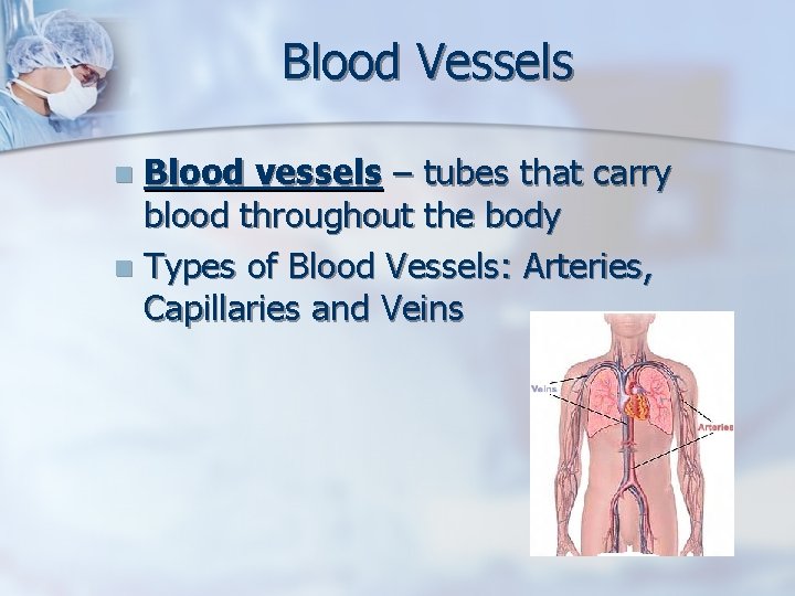 Blood Vessels Blood vessels – tubes that carry blood throughout the body n Types