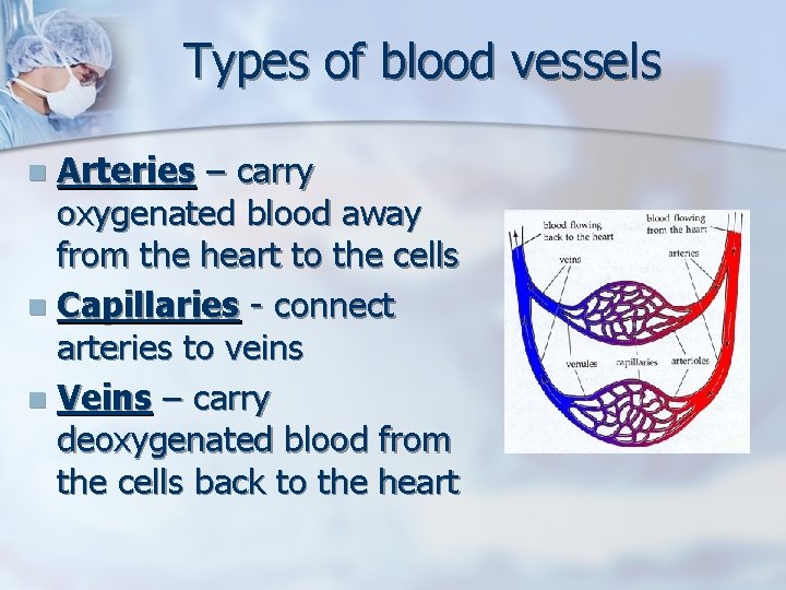 Types of blood vessels Arteries – carry oxygenated blood away from the heart to