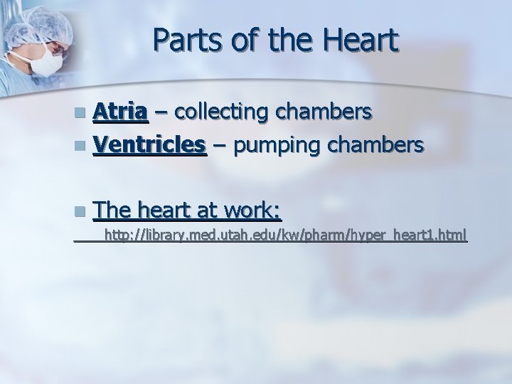 Parts of the Heart Atria – collecting chambers n Ventricles – pumping chambers n