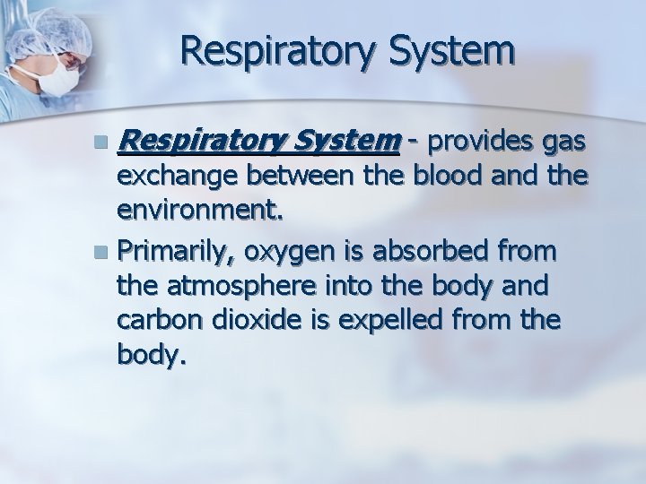 Respiratory System n Respiratory System - provides gas exchange between the blood and the