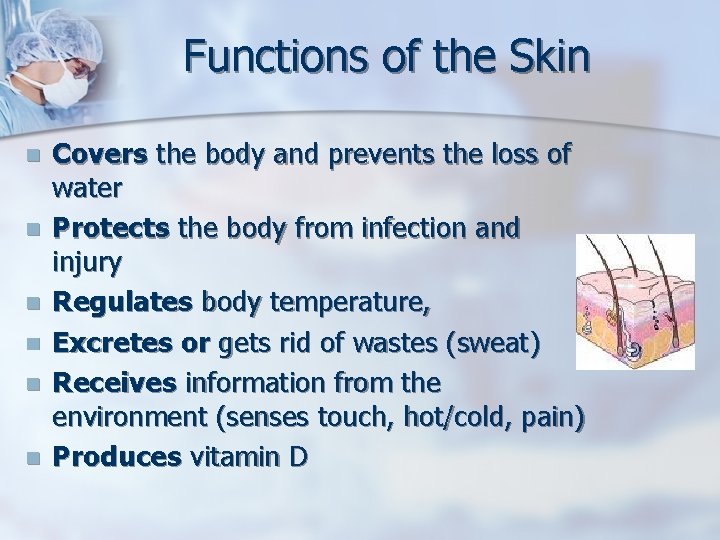 Functions of the Skin n n n Covers the body and prevents the loss