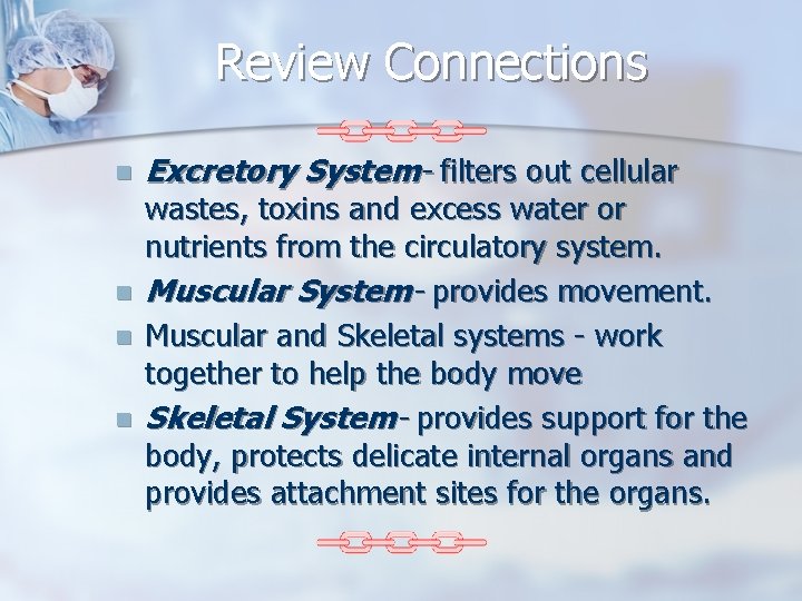Review Connections n n Excretory System- filters out cellular wastes, toxins and excess water