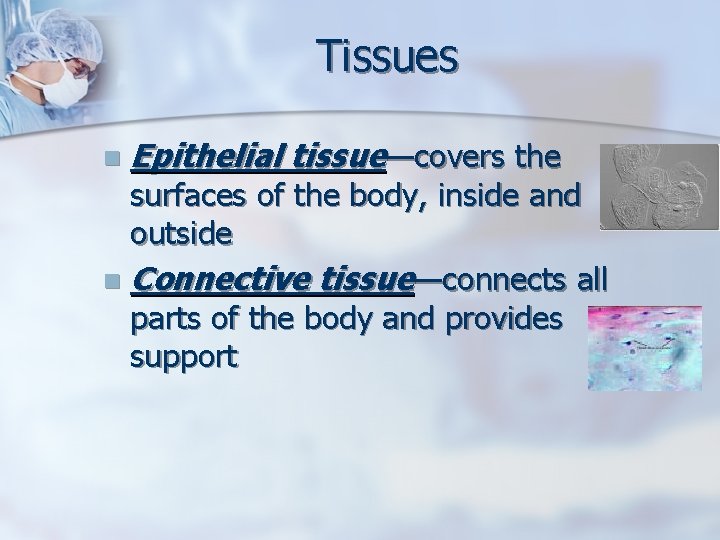 Tissues n Epithelial tissue—covers the surfaces of the body, inside and outside n Connective
