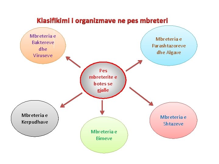 Klasifikimi i organizmave ne pes mbreteri Mbreteria e Baktereve dhe Viruseve Mbreteria e Parashtazoreve