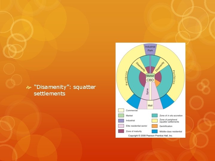  “Disamenity”: squatter settlements 