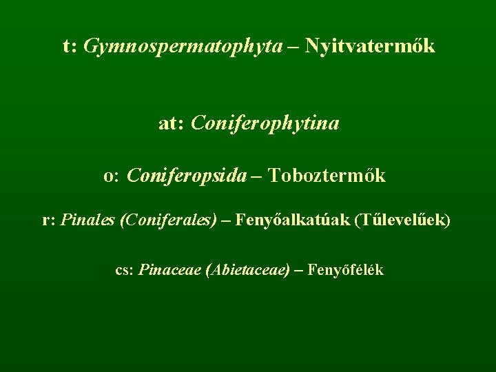 t: Gymnospermatophyta – Nyitvatermők at: Coniferophytina o: Coniferopsida – Toboztermők r: Pinales (Coniferales) –