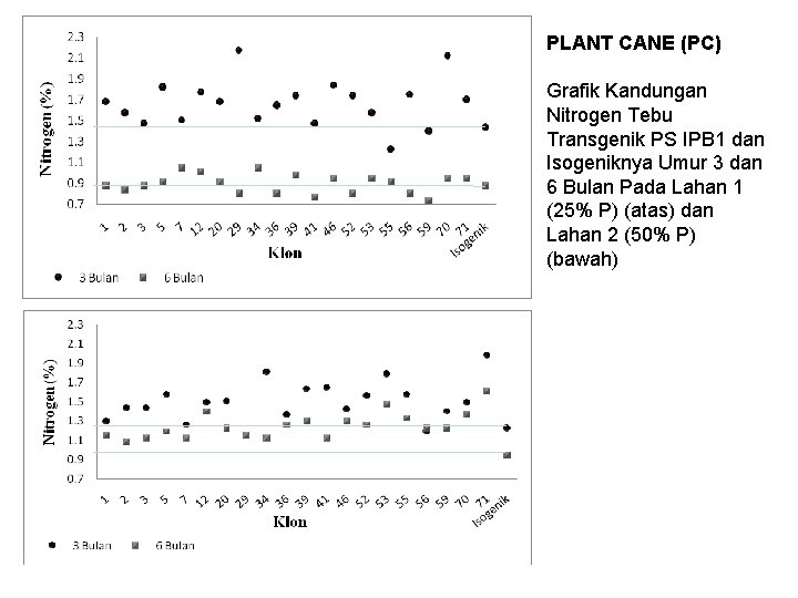 PLANT CANE (PC) Grafik Kandungan Nitrogen Tebu Transgenik PS IPB 1 dan Isogeniknya Umur