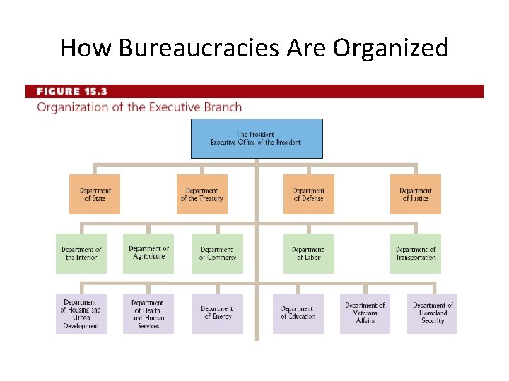 How Bureaucracies Are Organized 