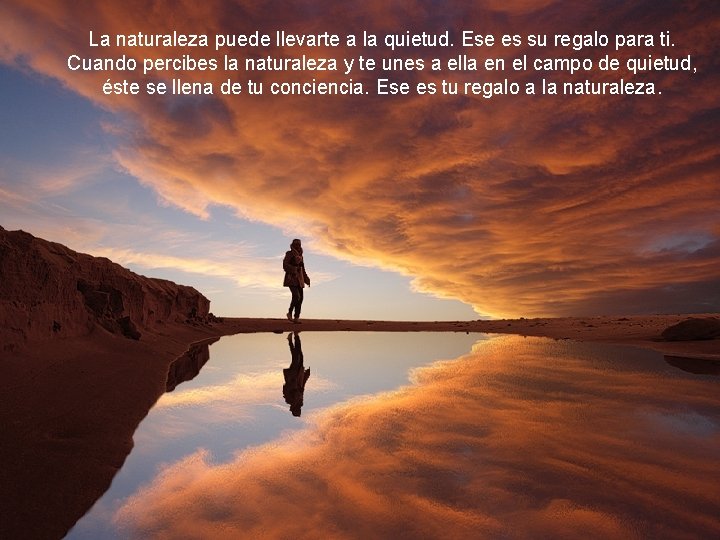 La naturaleza puede llevarte a la quietud. Ese es su regalo para ti. Cuando