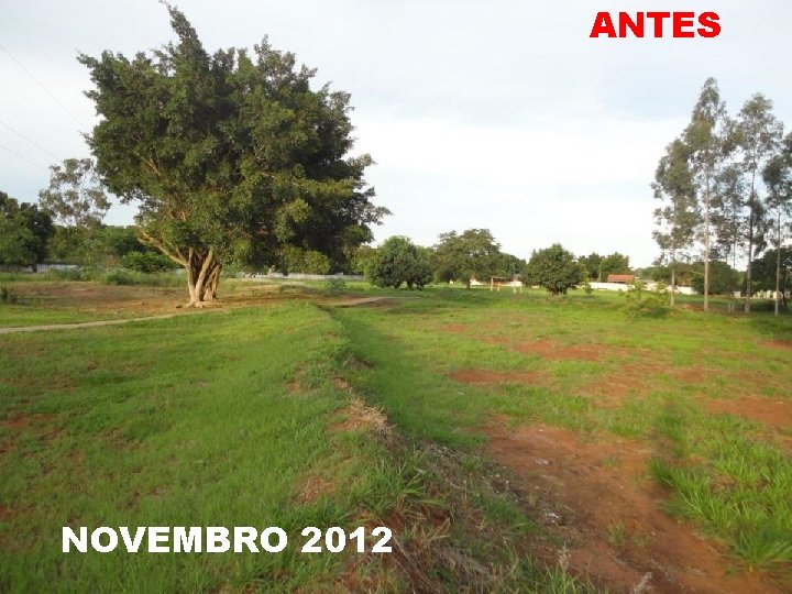 ANTES NOVEMBRO 2012 