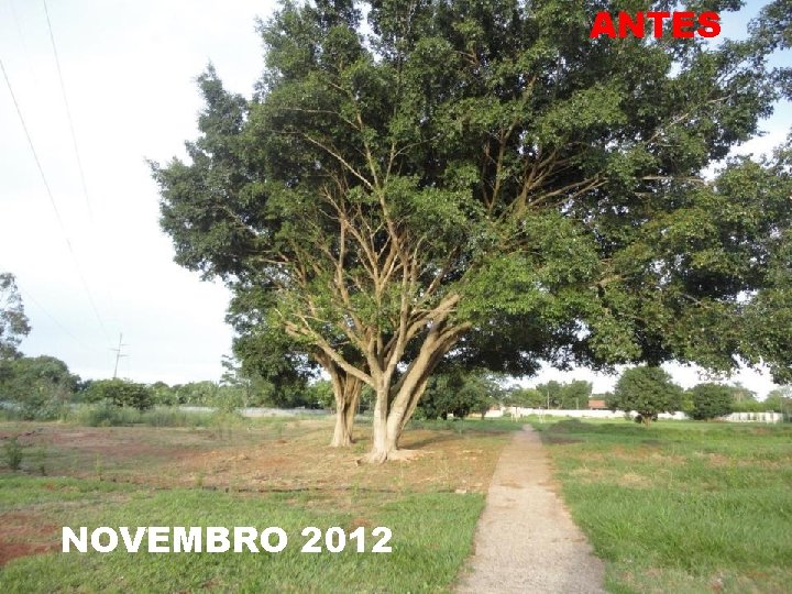 ANTES NOVEMBRO 2012 