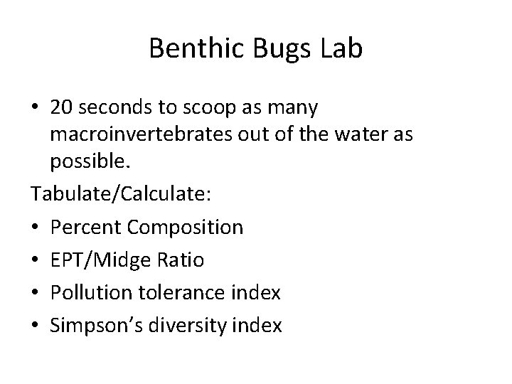 Benthic Bugs Lab • 20 seconds to scoop as many macroinvertebrates out of the