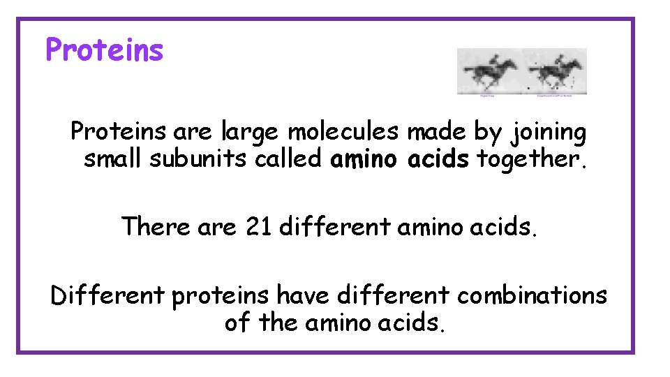 Proteins are large molecules made by joining small subunits called amino acids together. There