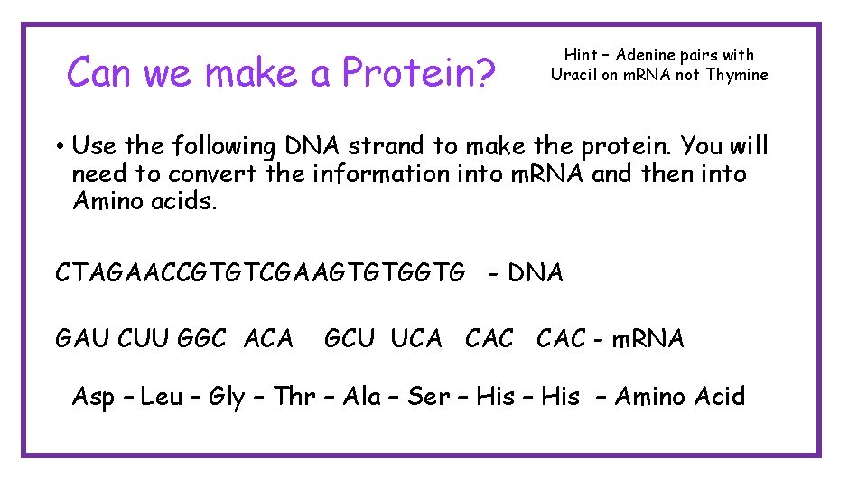 Can we make a Protein? Hint – Adenine pairs with Uracil on m. RNA