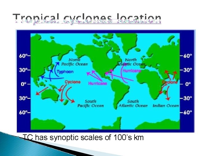  TC has synoptic scales of 100’s km 