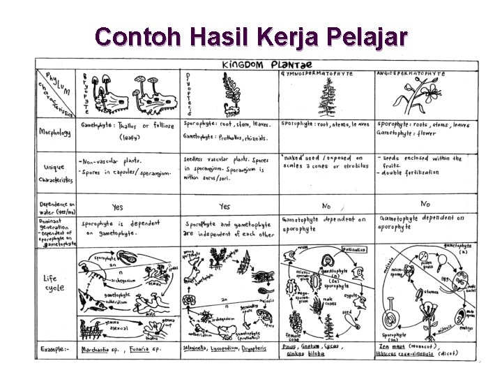 Contoh Hasil Kerja Pelajar 