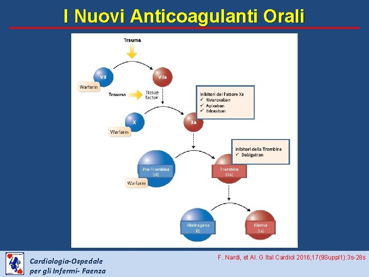 I Nuovi Anticoagulanti Orali Cardiologia-Ospedale per gli Infermi- Faenza F. Nardi, et Al. G