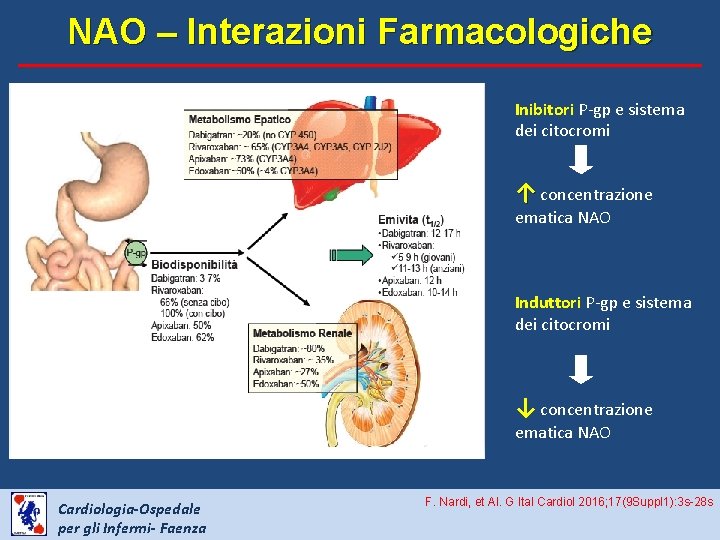 NAO – Interazioni Farmacologiche Inibitori P-gp e sistema dei citocromi ↑ concentrazione ematica NAO