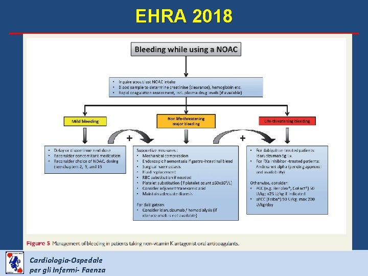 EHRA 2018 Cardiologia-Ospedale per gli Infermi- Faenza 