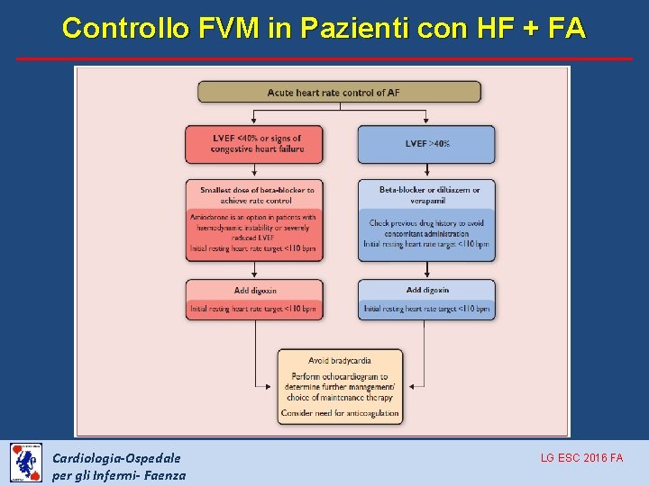 Controllo FVM in Pazienti con HF + FA Cardiologia-Ospedale per gli Infermi- Faenza LG