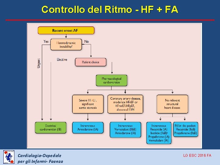 Controllo del Ritmo - HF + FA Cardiologia-Ospedale per gli Infermi- Faenza LG ESC