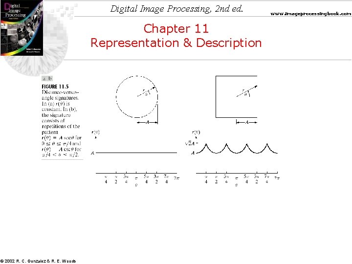 Digital Image Processing, 2 nd ed. Chapter 11 Representation & Description © 2002 R.