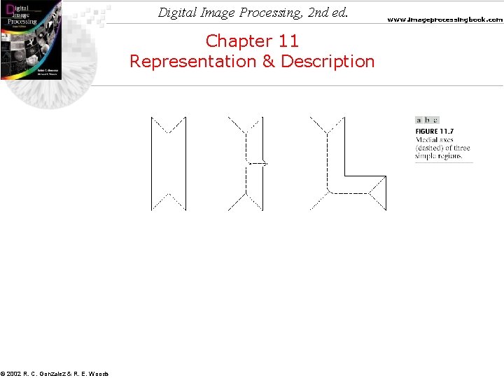 Digital Image Processing, 2 nd ed. Chapter 11 Representation & Description © 2002 R.